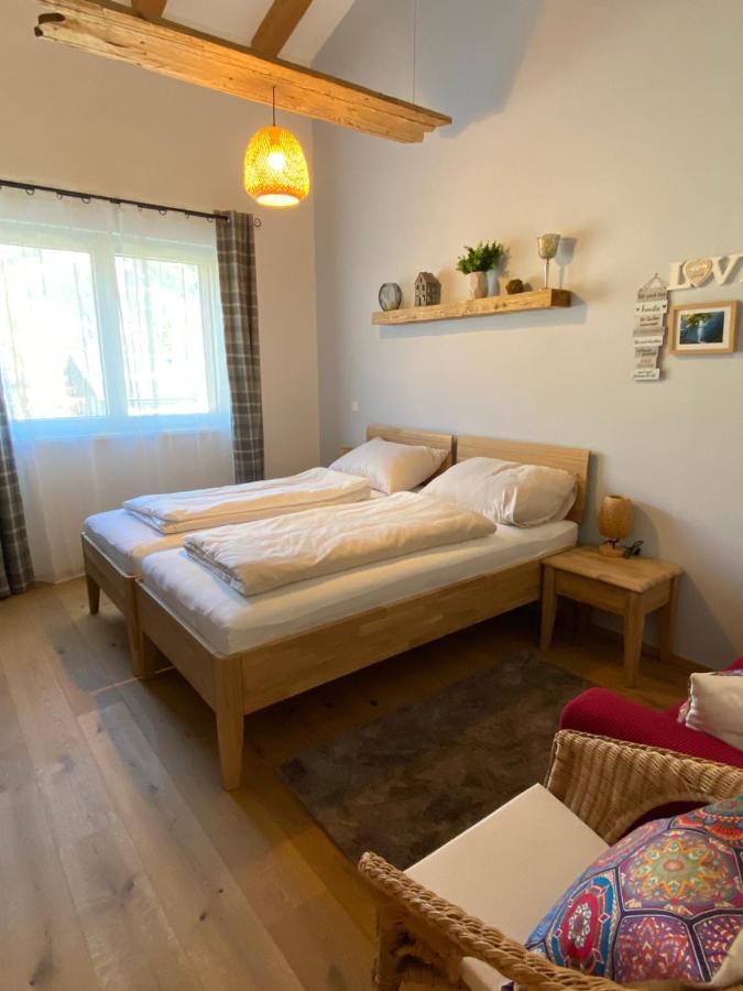 Moderne Kaminstube Apartment Ramsau am Dachstein Exterior photo